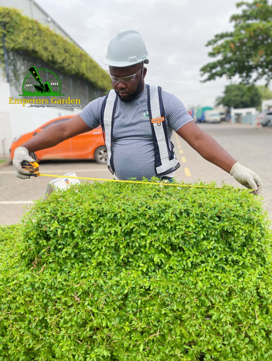 Emperors Gardens technician measuring a hedge