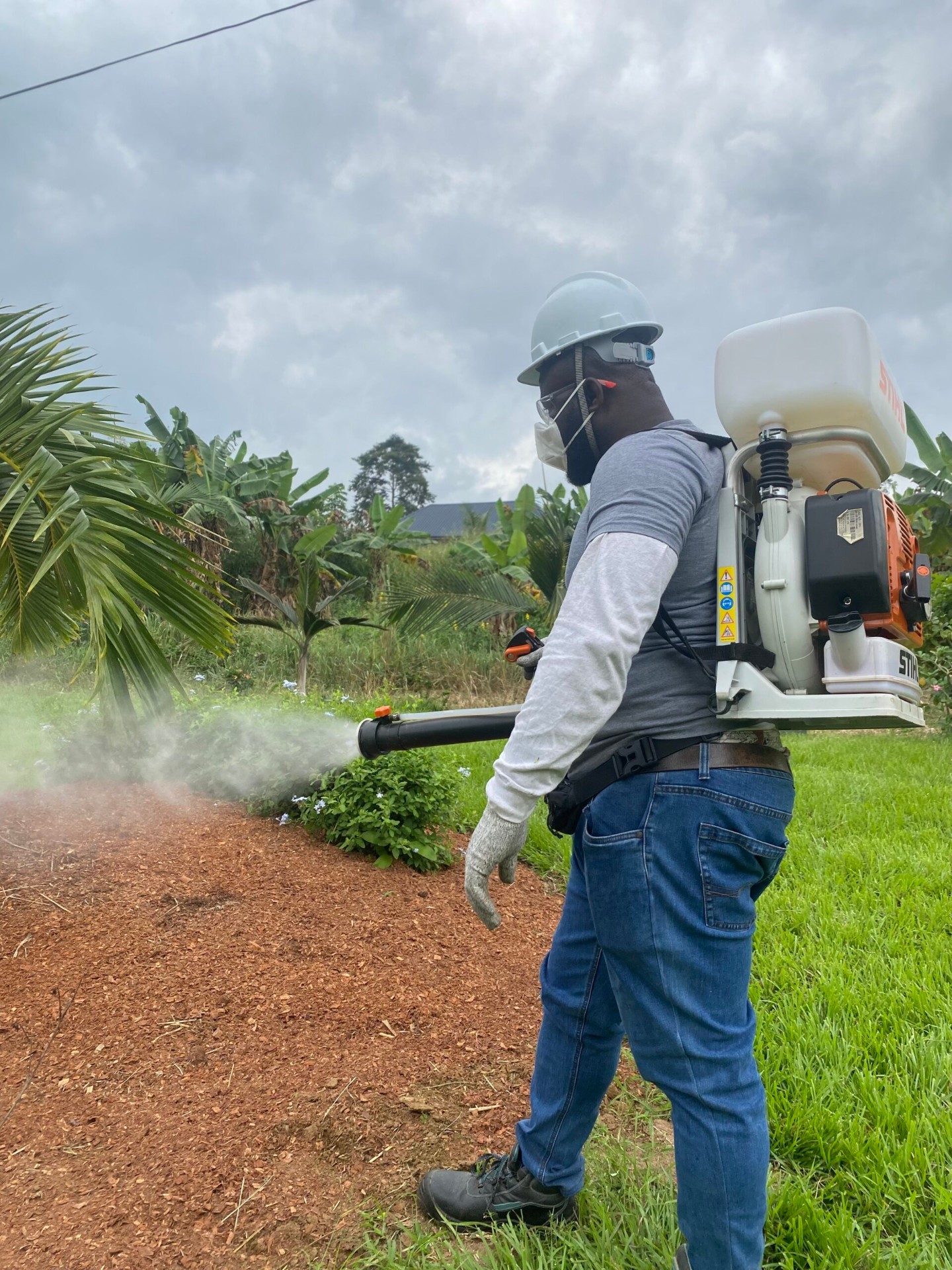 Fumigation Service