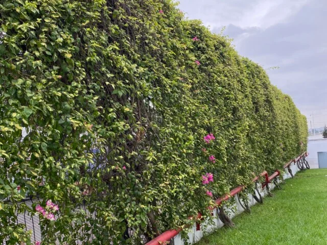 Gardens that grow with you.