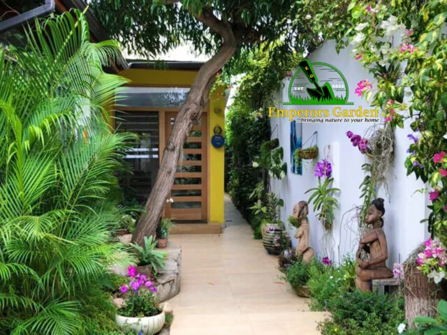 Tropical entry garden with potted orchids