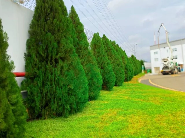 Outdoor spaces, perfectly composed.
